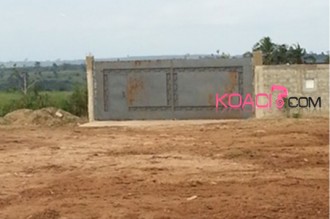 Côte dÂ’Ivoire : Les autorités mettent fin aux activités dÂ’une scierie clandestine